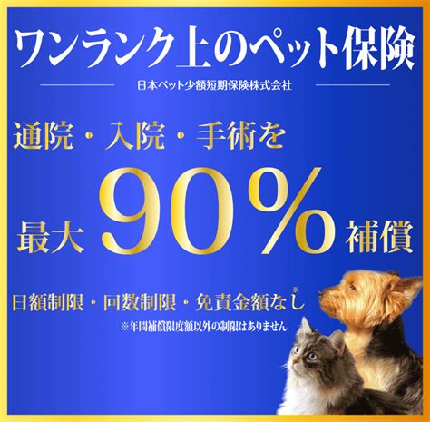 いぬとねこの保険